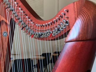 Un Nuovo Strumento Musicale alla Scuola G. Puccini di Città di Castello