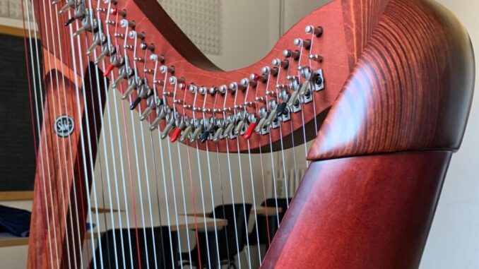 Un Nuovo Strumento Musicale alla Scuola G. Puccini di Città di Castello
