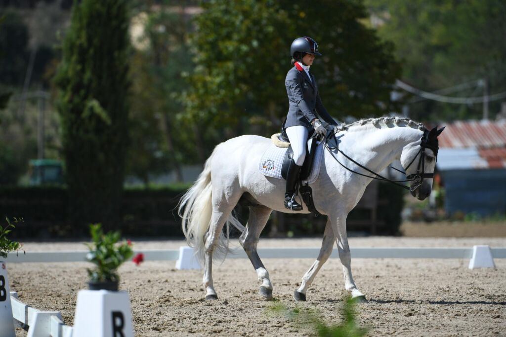 I Campionati regionali 2024: tutti i podi di Fise Umbria nel dressage