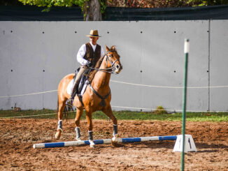 Conclusa la 54ª Mostra del Cavallo, con un focus su disabilità e futuro 2025