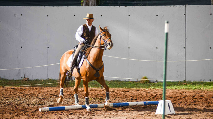 Conclusa la 54ª Mostra del Cavallo, con un focus su disabilità e futuro 2025