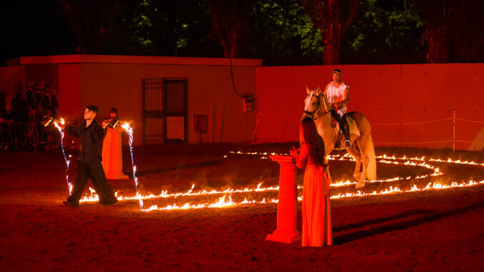 Evento equestre a Città di Castello: successo della sfilata e del gala