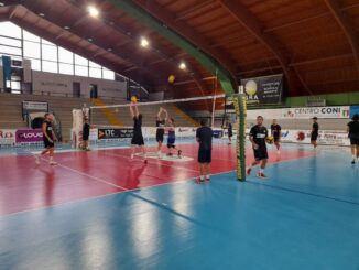 Galiano si unisce alla preparazione della ErmGroup