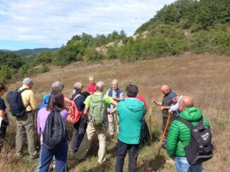 Passeggiata Storica a Monte Ruperto: Alla Scoperta della Baronia