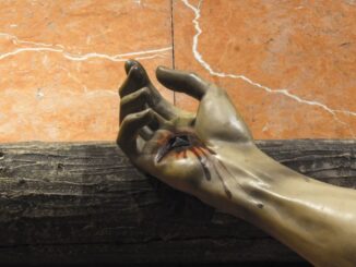 800 anni dalle stimmate di San Francesco, messa a Città di Castello