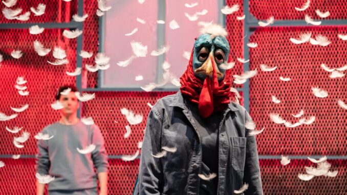La Stagione 24/25 del Teatro degli Illuminati di Città di Castello
