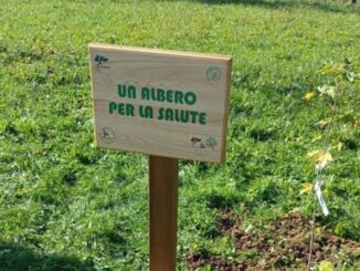 Città di Castello partecipa a "Un albero per la salute"