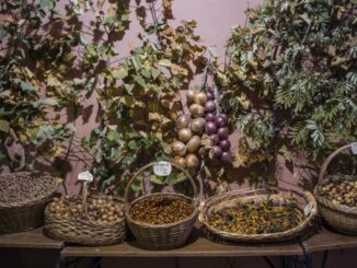 Montone si prepara per la 40esima Festa del bosco