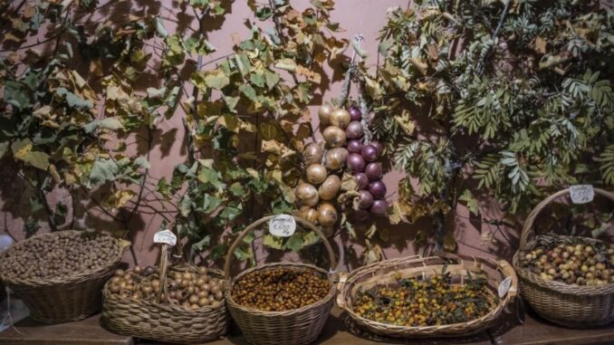 Montone si prepara per la 40esima Festa del bosco