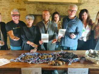 Tartufo bianco e patate, al via la mostra mercato di Pietralunga