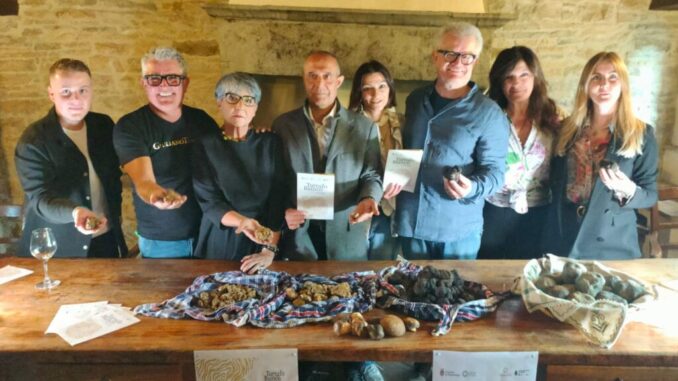 Tartufo bianco e patate, al via la mostra mercato di Pietralunga Tartufo bianco e patate, al via la mostra mercato di Pietralunga