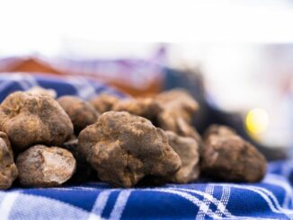 La città tartufo. Da venerdì 1 a domenica 3, Salone Tartufo Bianco