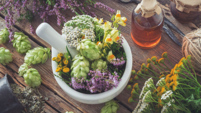 Laboratorio sensoriale sull'olio e piante officinali 
