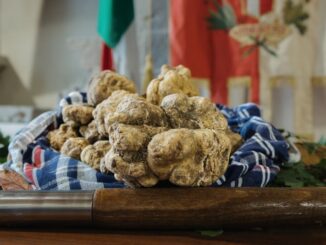 La città tartufo. Da venerdì 1 a domenica 3, Salone Tartufo Bianco