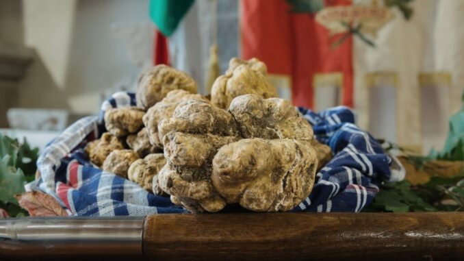 La città tartufo. Da venerdì 1 a domenica 3, Salone Tartufo Bianco