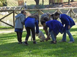 Tartufo e bambini: un'esperienza unica a Città di Castello