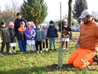 Città di Castello celebra Giornata degli Alberi con piantumazioni