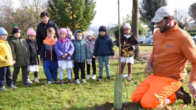 Città di Castello celebra Giornata degli Alberi con piantumazioni