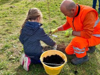 Giovani e natura: due cerri e due farnie per il futuro