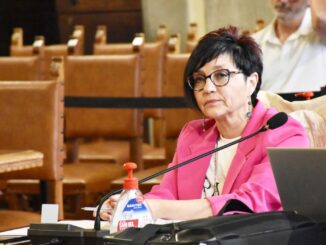 Fosso Salaiolo, l’assessore Mariangeli risponde in Consiglio 