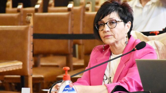 Fosso Salaiolo, l’assessore Mariangeli risponde in Consiglio 