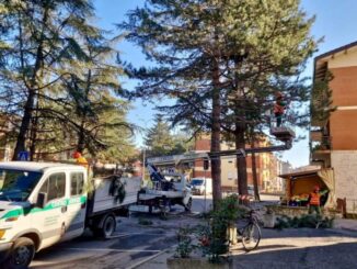 Iniziati i lavori di potatura in piazza Carlo Marx e via Morandi