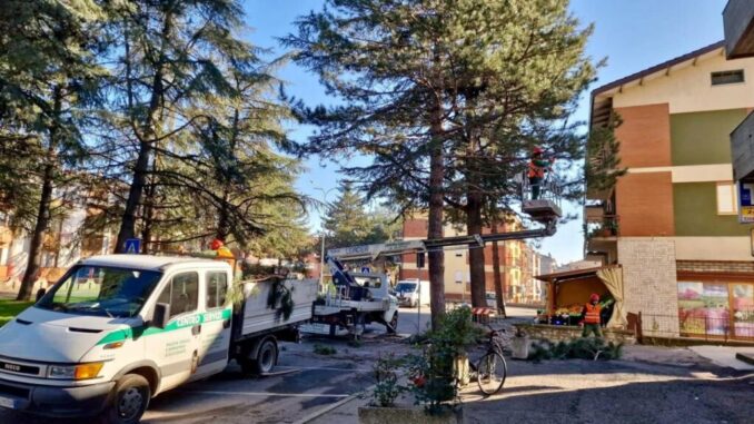 Iniziati i lavori di potatura in piazza Carlo Marx e via Morandi
