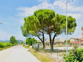 Nuova rotatoria e strada in via Tiberina: apertura il 4 dicembre