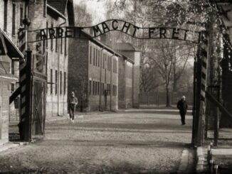 Ottant'anni da Auschwitz, eventi a Città di Castello