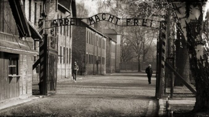 Ottant'anni da Auschwitz, eventi a Città di Castello