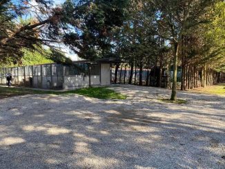 Città di Castello, un 2024 tra progetti e sostenibilità: il bilancio