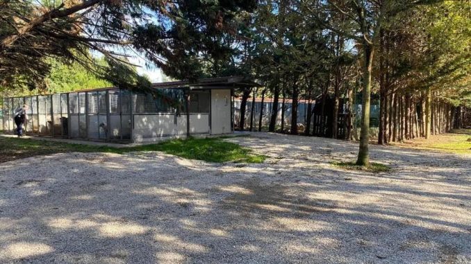 Città di Castello, un 2024 tra progetti e sostenibilità: il bilancio