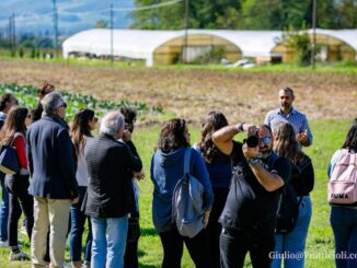 "Locale è meglio!": Gusto e Sostenibilità in Alta Umbria