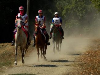 Endurance, a Città di Castello, grande attesa per la tappa del circuito Fise e Coppa Italia e circuito Masaf 2025