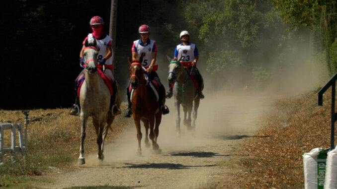 Endurance, a Città di Castello, grande attesa per la tappa del circuito Fise e Coppa Italia e circuito Masaf 2025