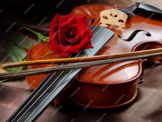 Concerto emozionante all'Auditorium di San Giovanni Decollato