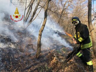 Intervento in fase di bonifica, coinvolti 5 mezzi e 12 unità 