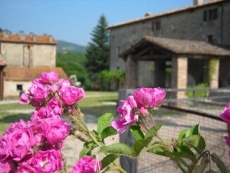 Caccia all’uovo per bambini al Museo Garavelle il 19 aprile