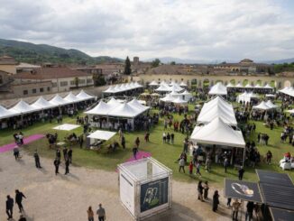 Only Wine 2025, a Città di Castello il salone del vino