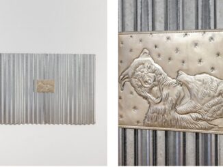 Cani randagi diventano icone d’arte a Citerna