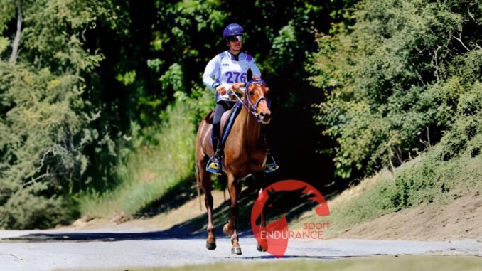 Endurance internazionale, 200 cavalli in Altotevere