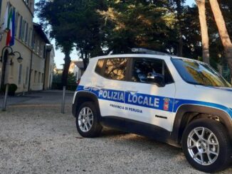 Cammina sulla E45 in stato alterato, fermata dalla polizia