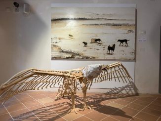 Weekend tra arte, fiere e mostre a Città di Castello