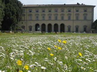 Inchiostro Cagliostro: la più grande collezione europea