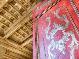 Tesori di Aldrovandi in mostra alla Biblioteca Carducci