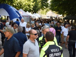 Cani, muli e falchi tra spettacoli, storia e tradizione La passione per gli animali e il legame con le tradizioni hanno dominato la giornata di apertura della Mostra Zootecnica della Fiera di San Bartolomeo, ospitata nel parco comunale Alexander Langer. La manifestazione, promossa dal Comune con allevatori, centri ippici, Usl Umbria 1 e nuclei specializzati delle forze dell’ordine, ha visto la partecipazione di un pubblico numeroso, confermando il forte richiamo dell’evento nonostante la decisione di rinunciare alla presenza di bovini, caprini e ovini per contenere il rischio di Blue tongue (lingua blu). L’edizione 2025 punta sull’incontro tra uomo e animale, l’educazione ambientale e la valorizzazione degli antichi mestieri. Tra le testimonianze più significative, quella di Corrado Spaccino, 64 anni, uno degli ultimi mulai umbri, che ha raccontato la storia di famiglia legata a un episodio della Prima guerra mondiale: “Un mulo salvò la vita di mio nonno durante un combattimento sul Montegrappa, facendo da scudo a una scheggia di proiettile”, ha spiegato Spaccino. Una passione ereditata e portata avanti oggi sul Monte Peglia, dove i muli sono insostituibili nel trasporto della legna in zone impervie. Grande attenzione anche per le dimostrazioni operative dei reparti cinofili: Carabinieri Biodiversità di Pieve Santo Stefano, guidati dal comandante Alberto Veracini, la Polizia di Stato con il vice questore Adriano Politano, e i Vigili del Fuoco con il capo reparto Massimiliano Mancinelli e l’operatore Luca Borsi. I visitatori hanno potuto assistere a esercitazioni che hanno mostrato la straordinaria disciplina e docilità dei cani impegnati nella tutela dell’ordine pubblico e nelle operazioni di soccorso. Accanto alle forze dell’ordine, spazio ai Falconieri della Fortezza, protagonisti con spettacolari esibizioni di rapaci, e alla Fattoria di Dora, che ha coinvolto i più piccoli in laboratori e attività educative. La manifestazione ha offerto inoltre la possibilità di scoprire i segreti della Polizia Scientifica, le attività dei Carabinieri del Parco Nazionale delle Foreste Casentinesi e i servizi dell’Usl dedicati al benessere animale e all’igiene degli allevamenti. L’assessore al Commercio e Turismo Letizia Guerri, presente alla rassegna, ha sottolineato l’obiettivo dell’edizione: “Innovare nel segno della tradizione, valorizzando il rapporto uomo-animale e promuovendo l’educazione ambientale”. Il programma prosegue fino a domenica 24 agosto con numerose iniziative: laboratori sulle tradizioni popolari, spettacoli di falconeria, battesimo della sella, esibizioni di alta scuola spagnola e prove di tiro con la balestra curate dalla Compagnia dei Balestrieri di Città di Castello. Non mancheranno aree gioco per i bambini e la gastronomia tipica curata dalla Società rionale Madonna del Latte. La cerimonia ufficiale di inaugurazione è prevista per domenica alle ore 10.00 nel parco Langer, accompagnata da una degustazione offerta dalla Pro Loco di Piosina.