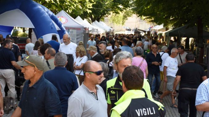 Cani, muli e falchi tra spettacoli, storia e tradizione La passione per gli animali e il legame con le tradizioni hanno dominato la giornata di apertura della Mostra Zootecnica della Fiera di San Bartolomeo, ospitata nel parco comunale Alexander Langer. La manifestazione, promossa dal Comune con allevatori, centri ippici, Usl Umbria 1 e nuclei specializzati delle forze dell’ordine, ha visto la partecipazione di un pubblico numeroso, confermando il forte richiamo dell’evento nonostante la decisione di rinunciare alla presenza di bovini, caprini e ovini per contenere il rischio di Blue tongue (lingua blu). L’edizione 2025 punta sull’incontro tra uomo e animale, l’educazione ambientale e la valorizzazione degli antichi mestieri. Tra le testimonianze più significative, quella di Corrado Spaccino, 64 anni, uno degli ultimi mulai umbri, che ha raccontato la storia di famiglia legata a un episodio della Prima guerra mondiale: “Un mulo salvò la vita di mio nonno durante un combattimento sul Montegrappa, facendo da scudo a una scheggia di proiettile”, ha spiegato Spaccino. Una passione ereditata e portata avanti oggi sul Monte Peglia, dove i muli sono insostituibili nel trasporto della legna in zone impervie. Grande attenzione anche per le dimostrazioni operative dei reparti cinofili: Carabinieri Biodiversità di Pieve Santo Stefano, guidati dal comandante Alberto Veracini, la Polizia di Stato con il vice questore Adriano Politano, e i Vigili del Fuoco con il capo reparto Massimiliano Mancinelli e l’operatore Luca Borsi. I visitatori hanno potuto assistere a esercitazioni che hanno mostrato la straordinaria disciplina e docilità dei cani impegnati nella tutela dell’ordine pubblico e nelle operazioni di soccorso. Accanto alle forze dell’ordine, spazio ai Falconieri della Fortezza, protagonisti con spettacolari esibizioni di rapaci, e alla Fattoria di Dora, che ha coinvolto i più piccoli in laboratori e attività educative. La manifestazione ha offerto inoltre la possibilità di scoprire i segreti della Polizia Scientifica, le attività dei Carabinieri del Parco Nazionale delle Foreste Casentinesi e i servizi dell’Usl dedicati al benessere animale e all’igiene degli allevamenti. L’assessore al Commercio e Turismo Letizia Guerri, presente alla rassegna, ha sottolineato l’obiettivo dell’edizione: “Innovare nel segno della tradizione, valorizzando il rapporto uomo-animale e promuovendo l’educazione ambientale”. Il programma prosegue fino a domenica 24 agosto con numerose iniziative: laboratori sulle tradizioni popolari, spettacoli di falconeria, battesimo della sella, esibizioni di alta scuola spagnola e prove di tiro con la balestra curate dalla Compagnia dei Balestrieri di Città di Castello. Non mancheranno aree gioco per i bambini e la gastronomia tipica curata dalla Società rionale Madonna del Latte. La cerimonia ufficiale di inaugurazione è prevista per domenica alle ore 10.00 nel parco Langer, accompagnata da una degustazione offerta dalla Pro Loco di Piosina.