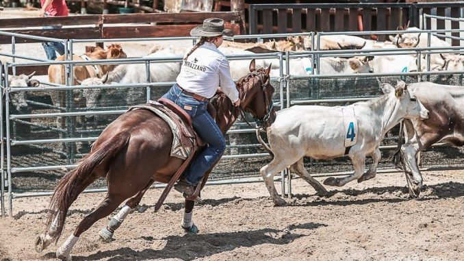 Città di Castello accoglie la 55^ Mostra Nazionale del Cavallo