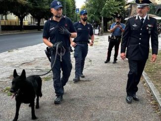 Controlli antidroga, Tami guida gli studenti alla legalità