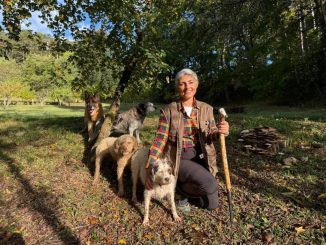 Città di Castello apre la stagione del tartufo bianco pregiato